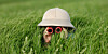 kid looks with binoculars through thick grass