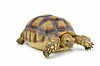 Grilled over failed DoE project, Turnbull's Transformers turn turtle