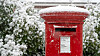 UK Post Office post box covered in sow