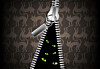 Cats eyes behind a zip