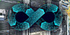 Illustration of a virtual machine lifecycle in front of server racks