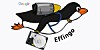 Google Effingo data transfer tool logo