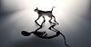 Schrödinger's cat