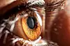 brown eye iris