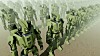 World leaders call for ban on 'killer robots,' AI weapons