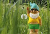 gnome in the sunshine