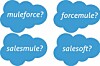 Salesforce Mulesoft acquisition logo mashup fun