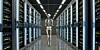 Microsoft: 'Skeleton Key' attack unlocks the worst of AI