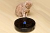 Cat stares at vacuum cleaner robot. Photo by shutterstock