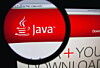 Java image by Gil C via Shutterstock