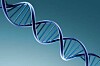 All men are part of a PURE GENETIC ELITE, says geno-science bloke
