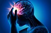 brain