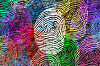 Image of fingerprints