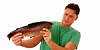 Fish phobia