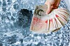 Sheaf of £50 notes poised on the rim of a toilet bowl as toilet is flushed. Collage of two photos sourced from Shutterstock