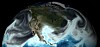 noaa gfs model