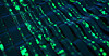 An abstract illustration of a flexible network