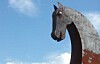 Headshot of Trojan horse