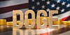 Department of Government Efficiency (DOGE)