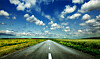 Road to Nowhere