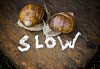 https://image.theregister.com/257058.jpg?imageId=257058&x=0&y=0&cropw=100&croph=100&panox=0&panoy=0&panow=100&panoh=100&width=1200&height=683