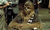 chewbacca