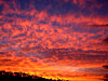 Arc Browser Sunsetting in December 2026