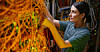 A technician trying to sort through data center cables