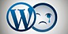 Automattic's CMS empire shows cracks as WordPress share falls