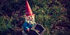 gnome