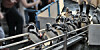 penguins make their way up secure ramp