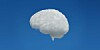 Cloud brain