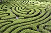 A hedge maze
