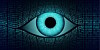 Big brother electronic eye