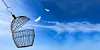 Escaping a birdcage in the clouds