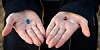 red pill blue pill matrix