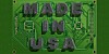 Chips made in USA