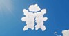 Cloud in bug shape