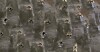 Bullet holes