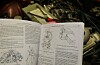 Haynes Service Manual