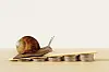 Snail crawling on a plank balanced on piles of coins on a light surface