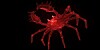 Wireframe crab