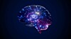 shutterstock brain