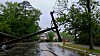 transformer on electric poles and a tree laying across power lines over a road after a hurricane