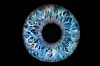 Close up eyeball iris