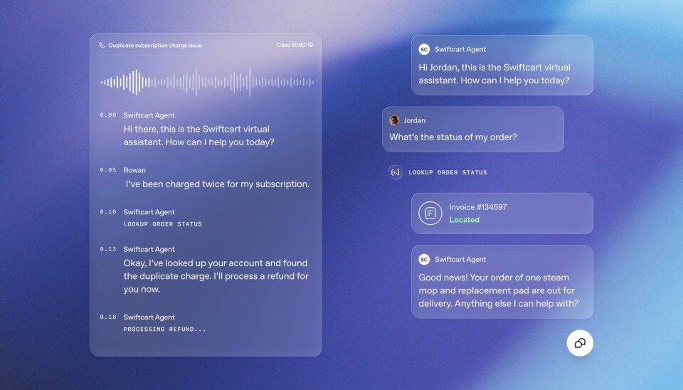 Screenshot of dialog with AI agent.