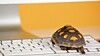 https://image.theregister.com/5288646.jpg?imageId=5288646&x=0&y=15.13&cropw=100&croph=84.87&panox=0&panoy=15.13&panow=100&panoh=84.87&width=1200&height=683