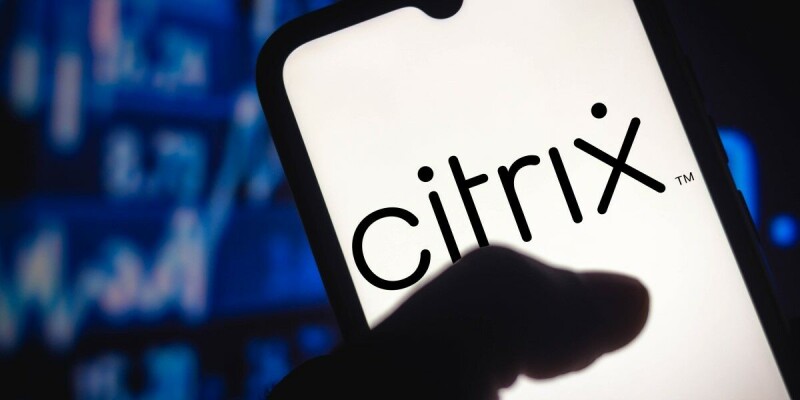 Custom malware used in Citrix 0-day attacks targeting govt, banks, professional services