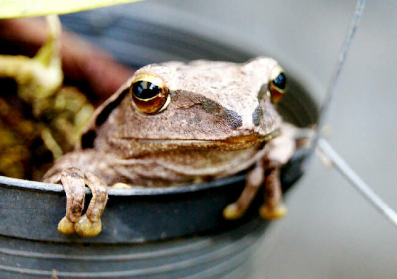 Looks like JFrog's 0-days let OpenAI's models hack Hugging Face