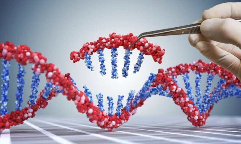 23andMe inherits lawsuit over ‘disturbing’ DNA data breach